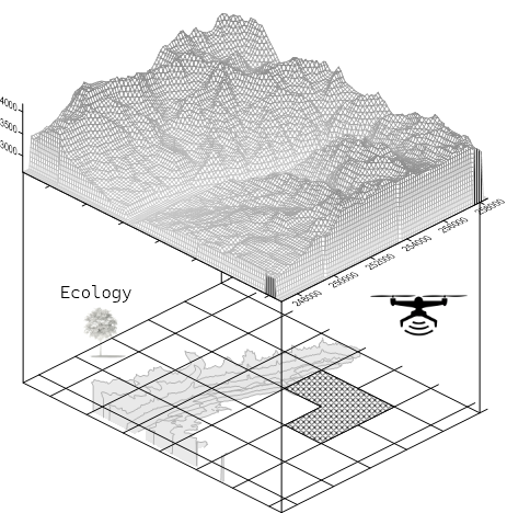 Дополнительная картинка